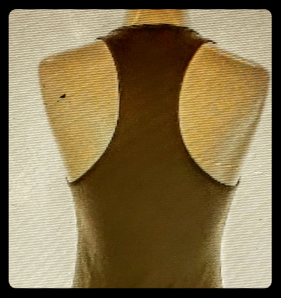 Haute Hippie racerback maxi dress. NWOT. S… - Picture 2 of 2